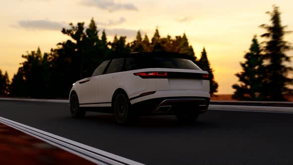 White Luxury SUV Forest Road Rear Shot Sunset