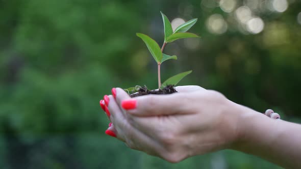 Save the Earth 95 alt