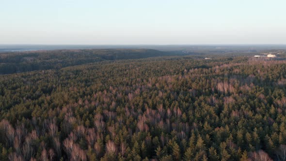 AERIAL: Rotating Shot of Vast Forest Painted with Golden Light in Evening