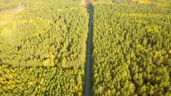 Nature Road