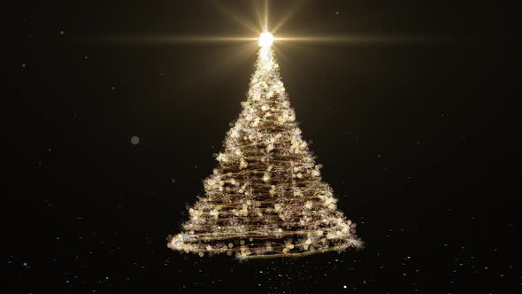 Christmas Tree Animation with Lights on Black