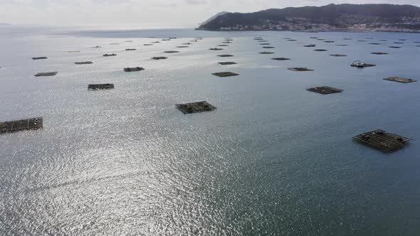 Mussel Seafood Farms in Ria Muros y Noya Galicia Spain