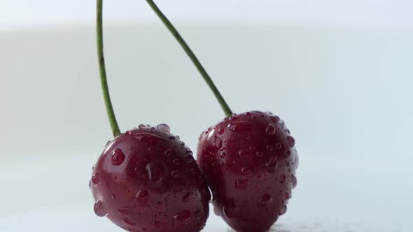 Red Cherry Berries in Water Drops on a White Background alt