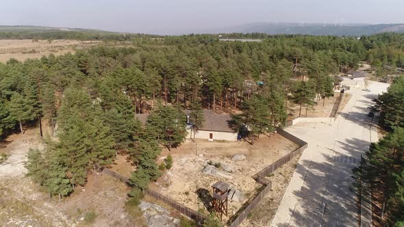 Houses in the Forest alt