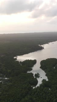 Zanzibar Tanzania  Ocean Shore Covered with Green Thickets Vertical Video alt