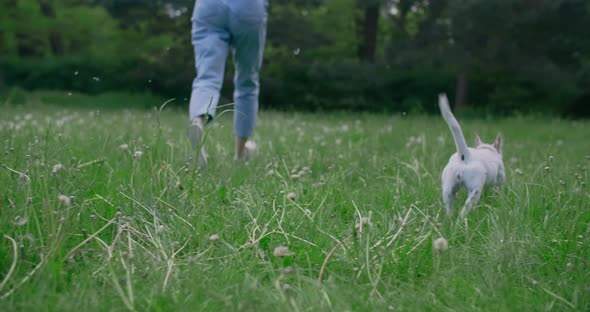 Jack Russel Dog Runs Through the Grass with It's Owner in Slowmotion  120 Fps Prores