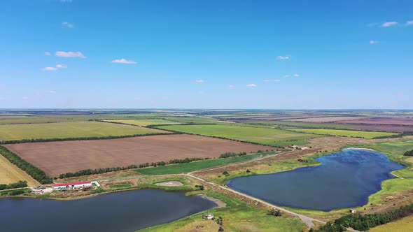 Ponds and agricultural fields from a bird's eye view