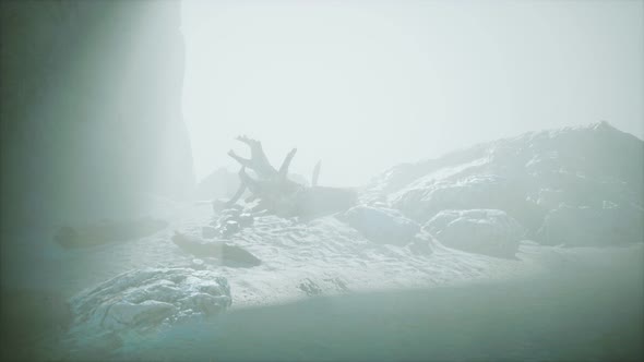 Rocky Cliff with Sand Beach in Deep Fog alt