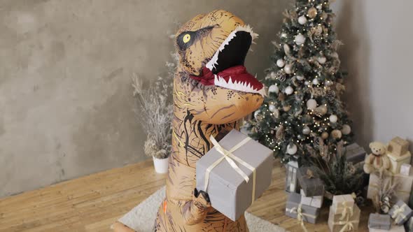 Big Inflatable Dinosaur Shaking Gift Box Near Christmas Tree in New Year Time.