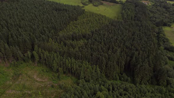 Aerial Reveal of The Holy Isle in Scotland A Secluded Island alt