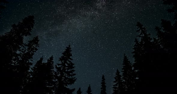 Timelapse of The Milky Way Galaxy Moves Above the Silhouettes of Trees alt