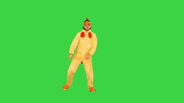 Funny Guy in Animal Costume Performs Some Contemporary Dance on a Green Screen Chroma Key