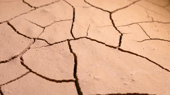 Cracked Soil