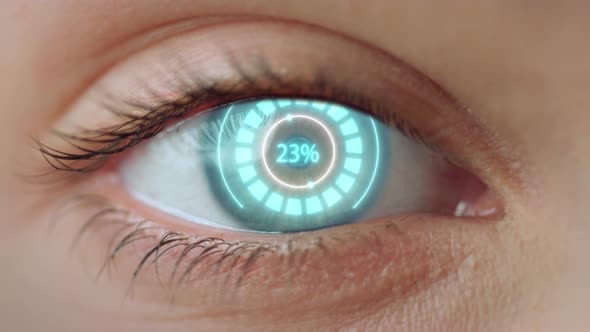 Close Up Eye Access System Analysing Biometrics Granting Connection Concept alt