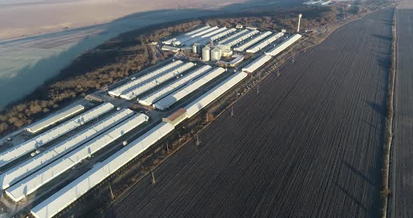 Aerial view of modern pig farm. Livestock farm. Farm for growing pigs. alt