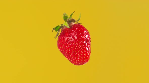 Ripe Strawberries on a Yellow Background Rotates