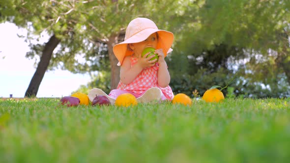 Organic Fruits Background. Kid Eating Organic Apple in Park. Child in Panama Having Fun Outdoor alt
