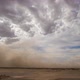 Sand Storm - VideoHive Item for Sale