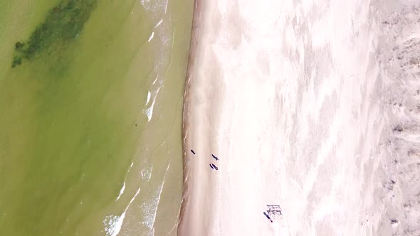 People walking on sandy beach near Baltic sea, top down aerial view alt