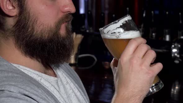 Bearded Man Smiling After Sipping Delicious Beer at the Bar alt