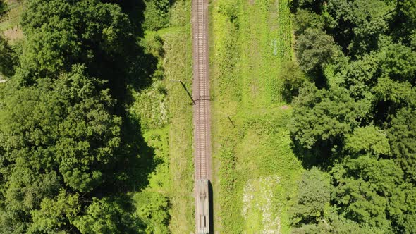 Train Moving on Railroad Through Green Summer Forest