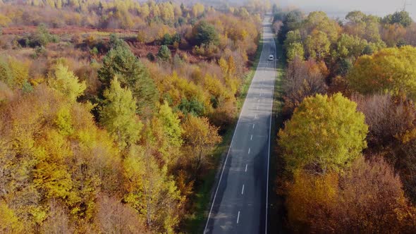 Autumn colors and mountain road aerial view alt