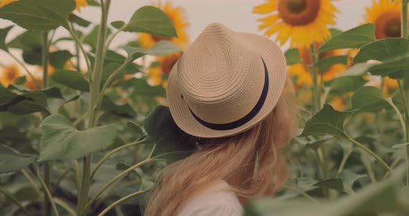 Young Beautiful Woman in a Hat Walks Across the Field with Tall Sunflowers and Smiles