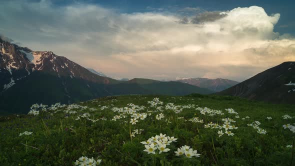 Time-lapse of the Dusk in Mountains. White Flowers on the Foreground 