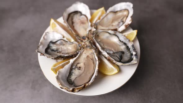 Fresh Oysters 13 alt