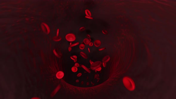 Red blood cells in the artery flow inside the body human health care
