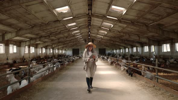 Senior Female Owner of Goat Farm Working on Digital Tablet alt