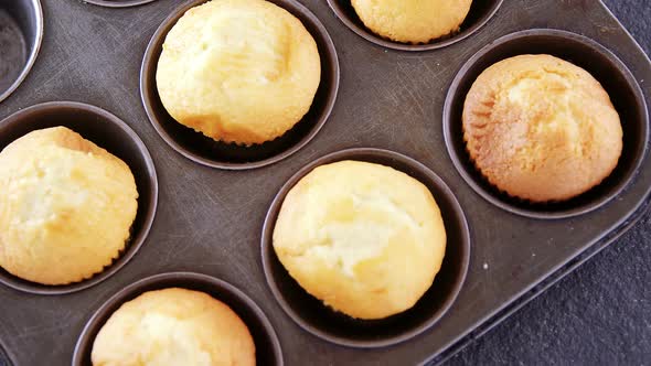 Plain cupcakes in baking tray alt