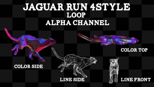 Jaguar Run 4 Style Loop