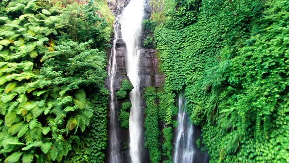 High Waterfall in Eastern Tropical Forest alt
