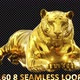 Golden Tiger 8 IN 1