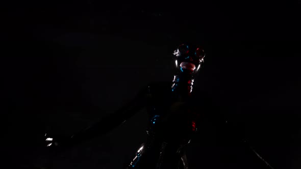 a Woman in a Black Latex Suit Helmet and Glasses Bends Down Straightens Up and Waves Hands Against a alt