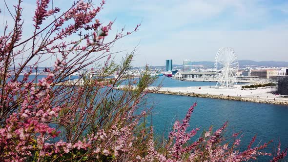 Marseille City - Spring Waterfront