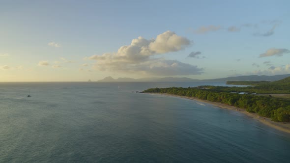 Aerial of green trees along serene sea seascape alt