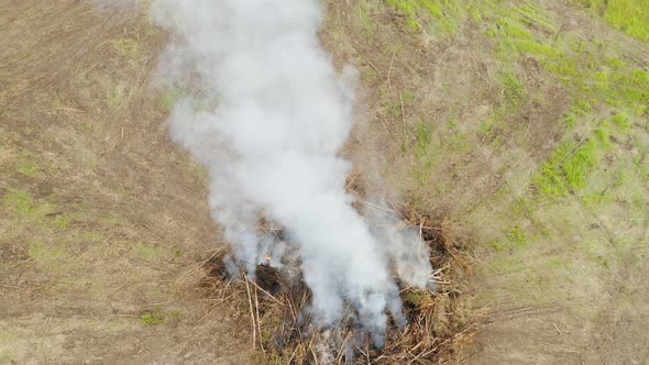 High Pillars of Smoke Rise Over Bonfires with Grass Piles