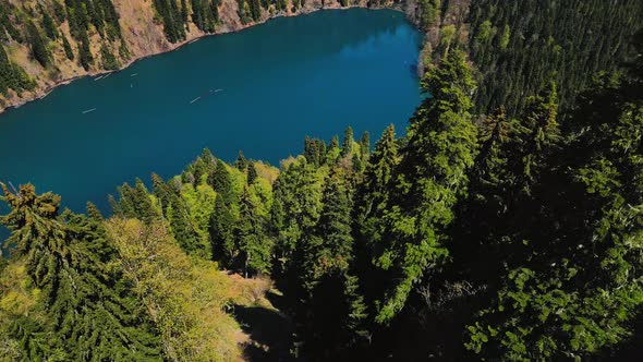 Mountain Lake Malaya Ritsa in the Middle of a Coniferous Forest alt