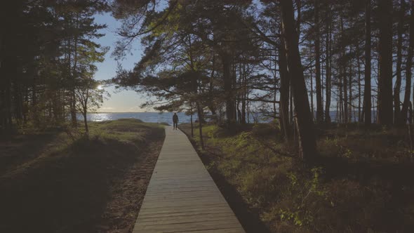 The path from the boards to the Baltic beach in summer