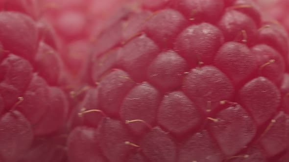Close-up Juicy and tasty raspberries, rich in vitamins and good for immunity