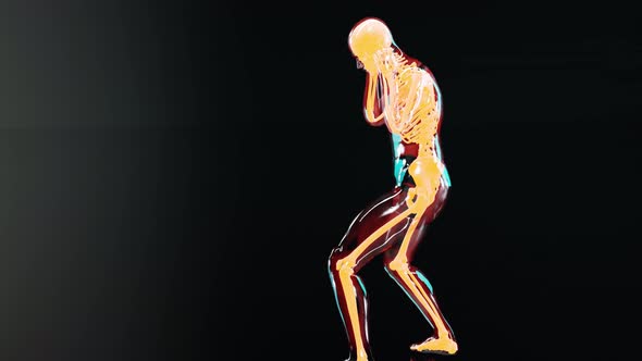anatomy animation of male boxer,  Boxing, exercise, extreme sport, gym,  human anatomy, alt