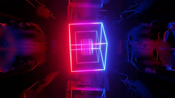 Vj Loop Mirror Room with Fly Neon Frame Box alt