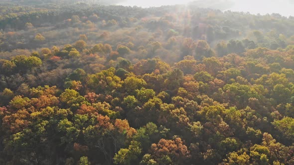 Aerial Top View Morning Sunbeam and Fog in the Forest Autumn Landscape alt