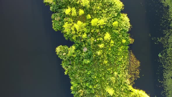 Top View Of Island On Lake With Trees And Plants