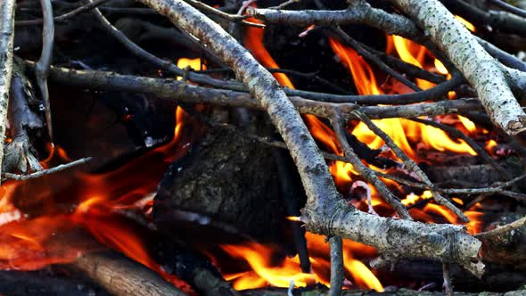 Wooden Fire Burning Like Hell 7 alt