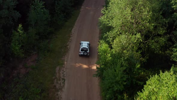 Aerial View of a Car in the Forest alt