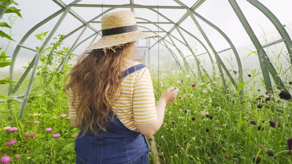 Happy Woman with Flowers Bouquet Walks Along Blooming Plants