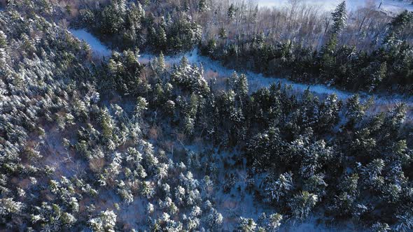 TOP DOWN aerial footage of snow covered forest flying over some vacant ski trails alt